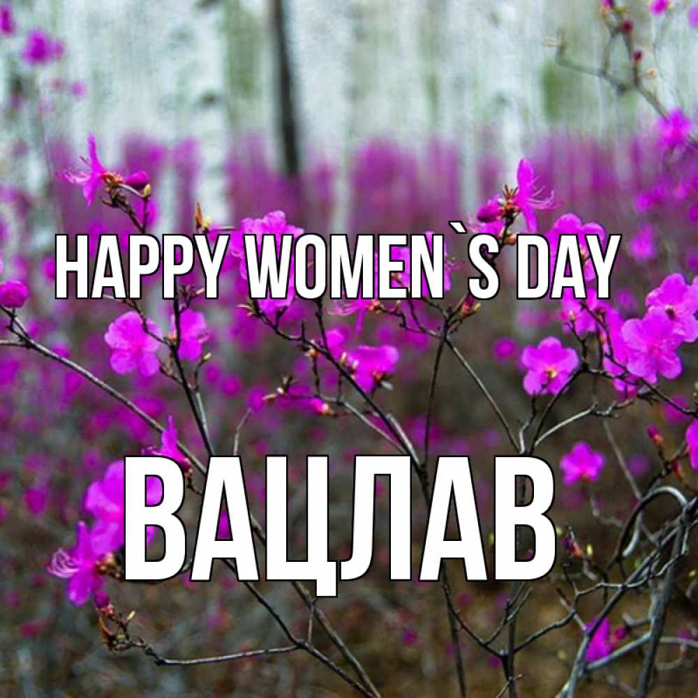 Greetings card с именем, Вацлав happy women`s day дикие цветы Greetings with text for free download 